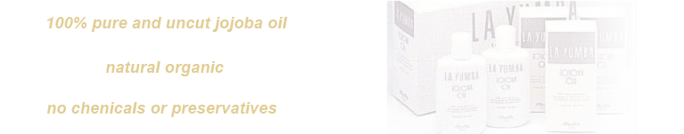 �z�z�o�I�C���ƈ��